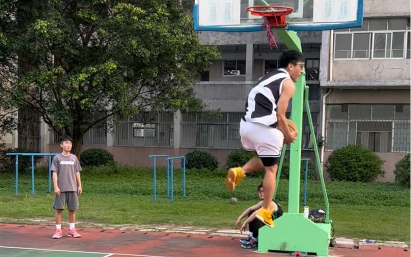 单纯的观看